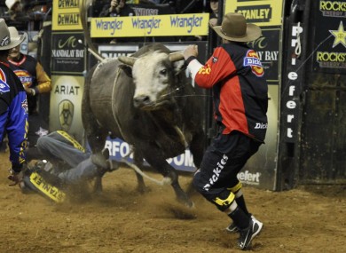 The bull, Deja Blu, bucks away from Cincinnati Bengal receiver Chad Ochocinco, center left, during the Professional Bull Riders' Lucas Oil Invitation bull riding event in Duluth, Georgia.