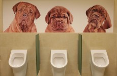 Heading to Euro 2012? Make sure you make a toilet stop…