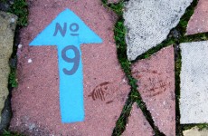 The 9 at 9: Tuesday