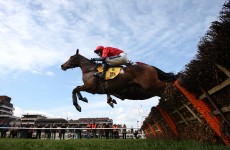 Mark your Card: your best bets for today’s Grade racing