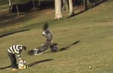 Here’s how much that fake golden eagle video earned on YouTube…