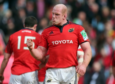 Paul O'Connell celebrates Munster's quarter final win over Harlequins last season.