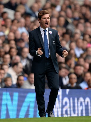 AVB on the touchline at White Hart Lane last weekend.