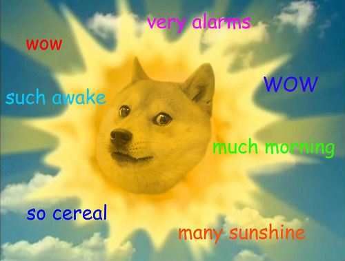 Doge sun : memes